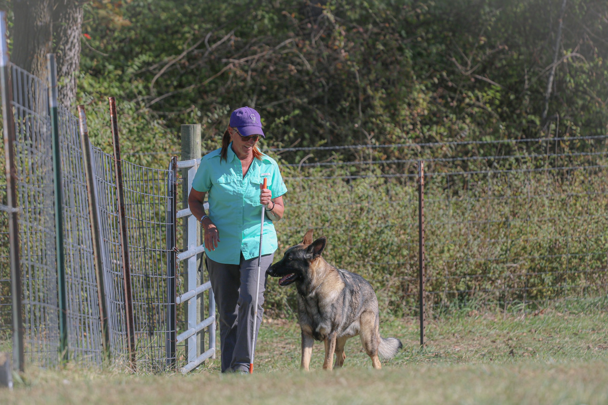 Val and Alex, her German Shepherd, at the Purina C course take pen during the 2023 GSDCA National